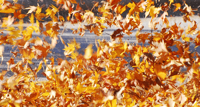 Offerta 2 in 1: soffia, aspira e tu... risparmi! | Oleo-Mac Offerta 2 in 1: soffia, aspira e tu... risparmi! | Oleo-Mac