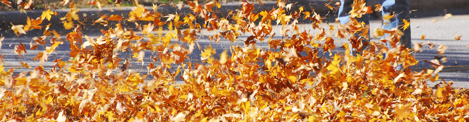 Offerta 2 in 1: soffia, aspira e tu... risparmi! | Oleo-Mac Offerta 2 in 1: soffia, aspira e tu... risparmi! | Oleo-Mac